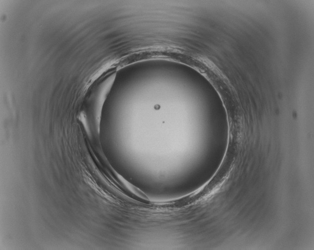 X0000061730969200512091541