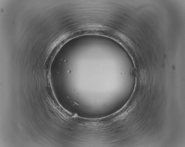 X0000061730970200512091541