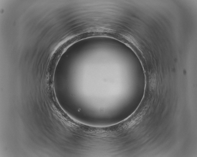 X0000061730971200512091541