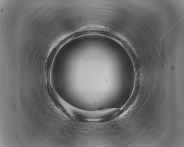 X0000061730973200512091541