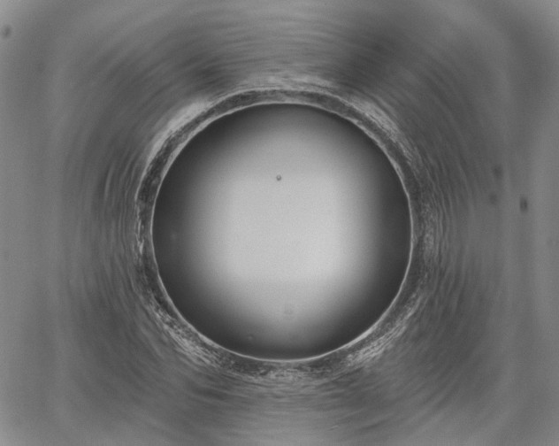 X0000061730974200512091541