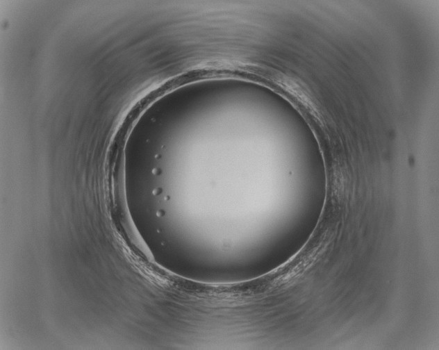 X0000061730976200512091541