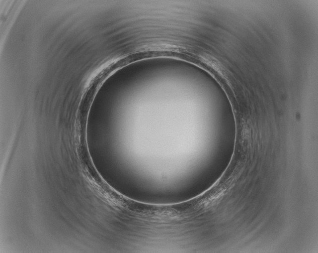 X0000061730979200512091541