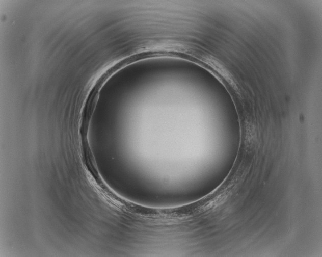 X0000061730980200512091541