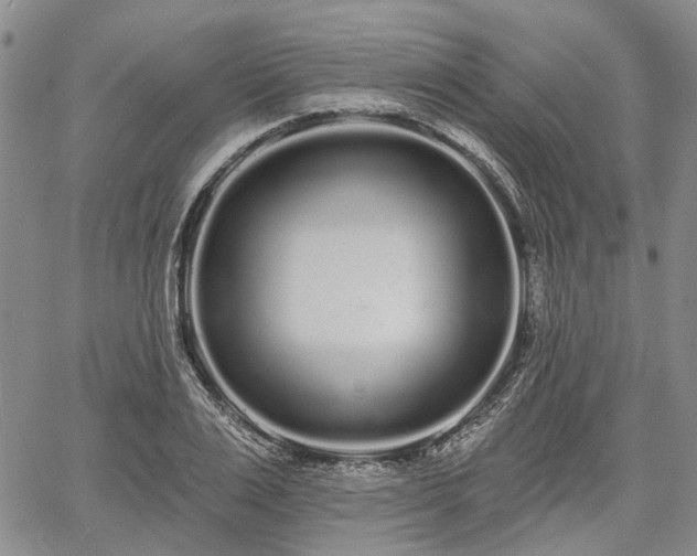 X0000061730983200512091540