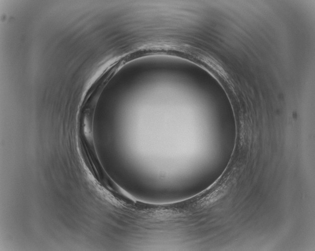 X0000061730984200512091540