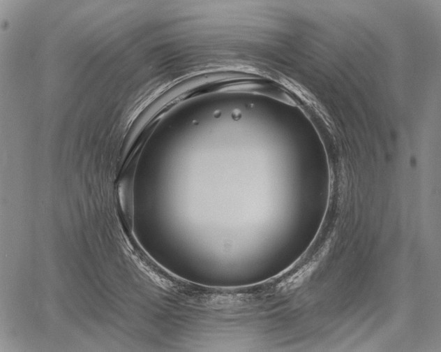 X0000061730985200512091540