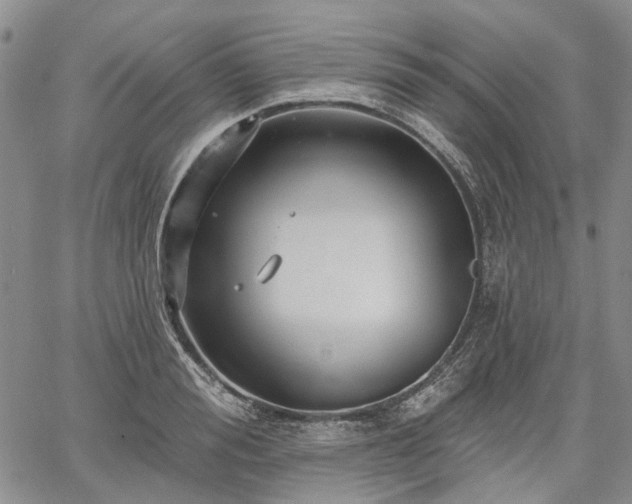 X0000061730988200512091540