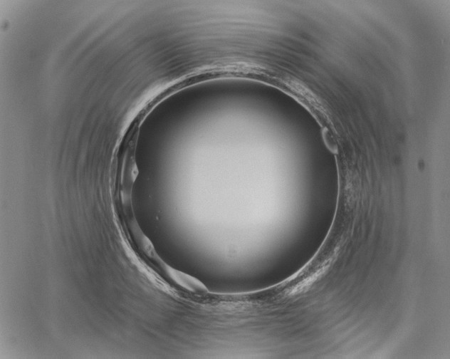 X0000061730989200512091540