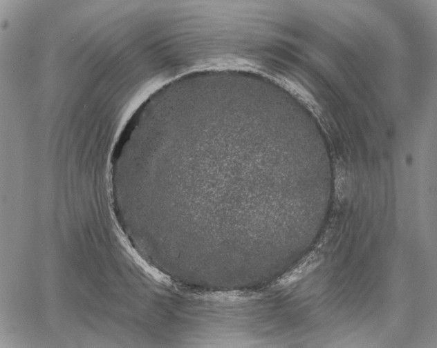 X0000061730990200512091540