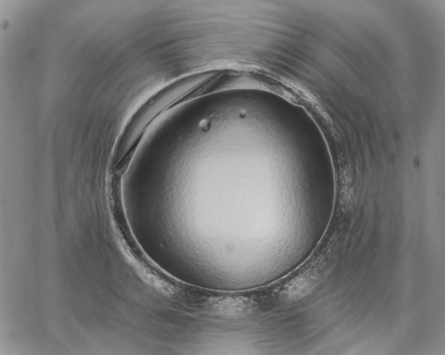 X0000061730991200512091540