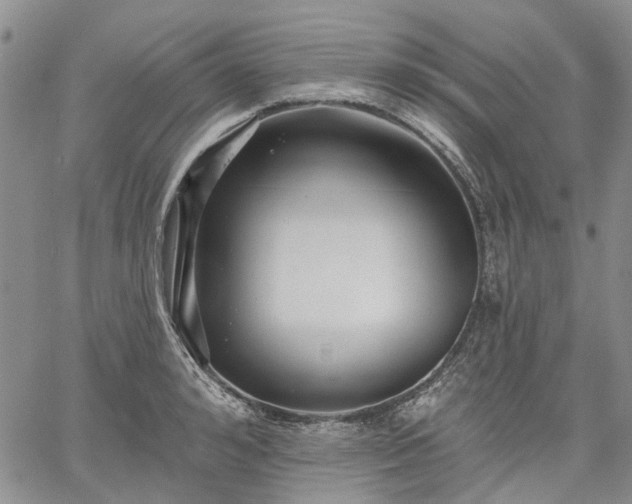 X0000061730992200512091540