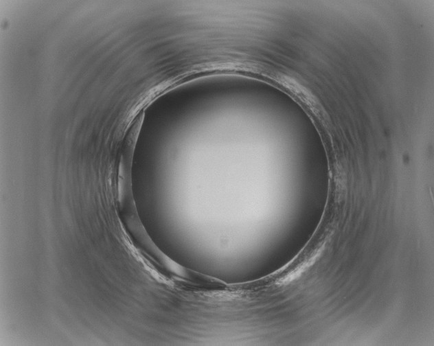 X0000061730993200512091540