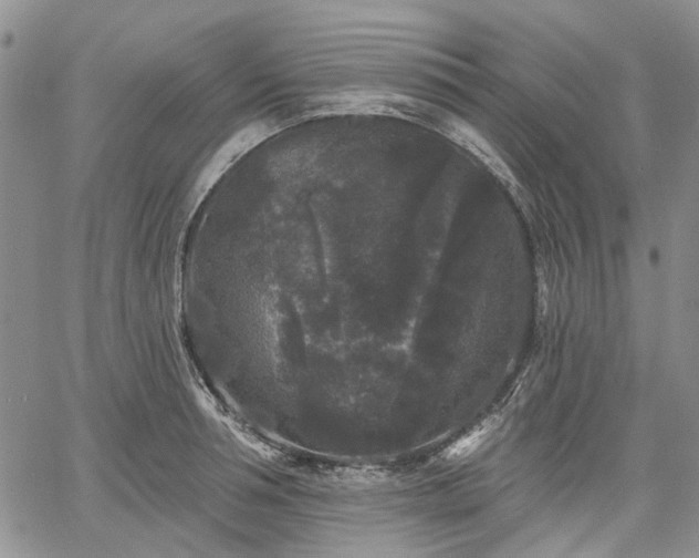 X0000061730994200512091540