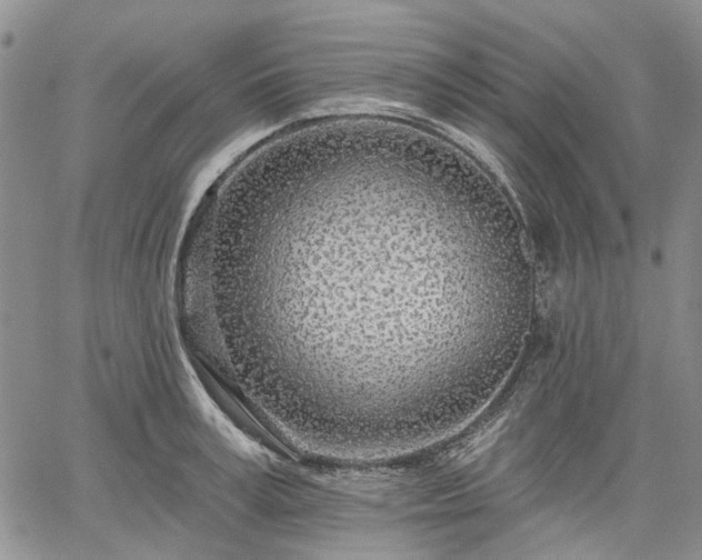 X0000061730995200512091540