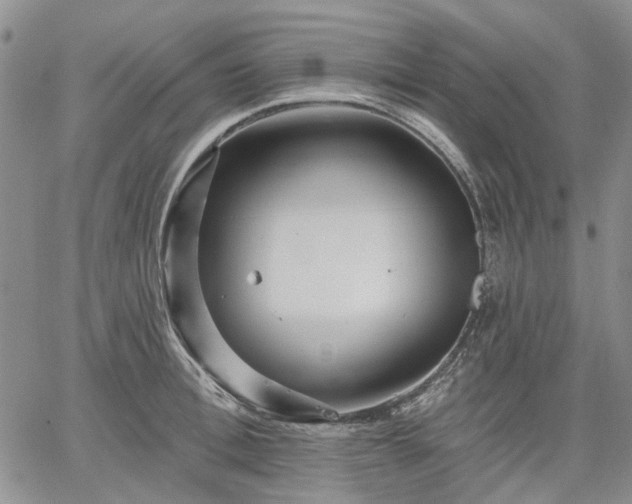 X0000061730996200512091540