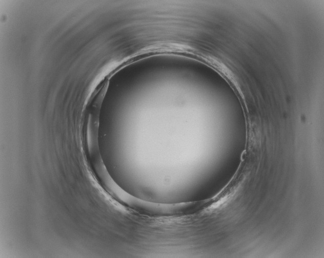 X0000061730997200512091540