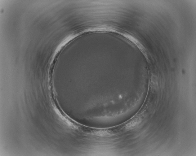 X0000061730998200512091540