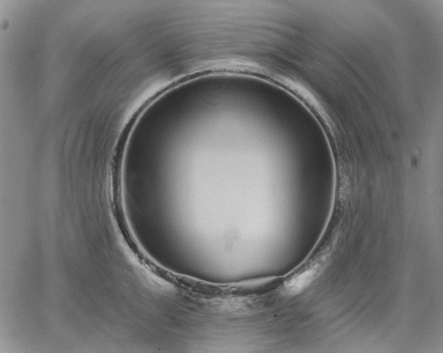 X0000061730999200512091540