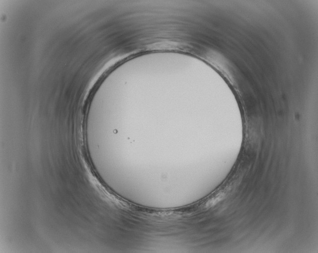 X0000061731000200512091540