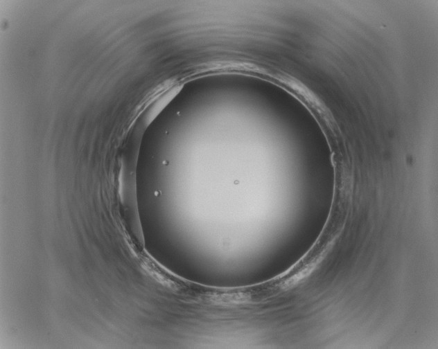 X0000061731001200512091540