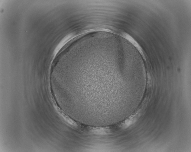 X0000061731002200512091540