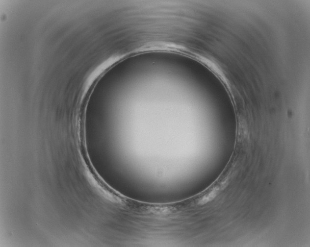 X0000061731003200512091540