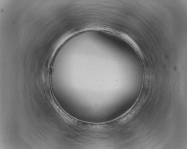 X0000061731004200512091540