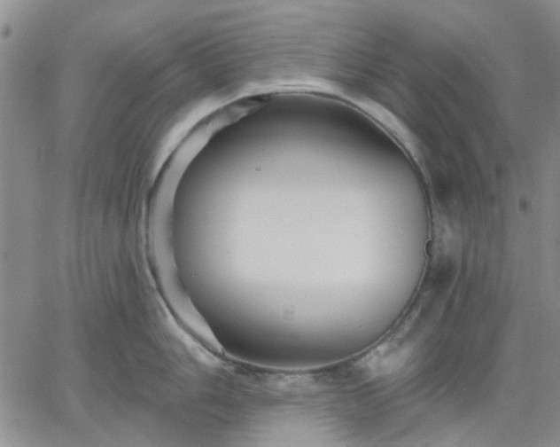 X0000061731006200512091540