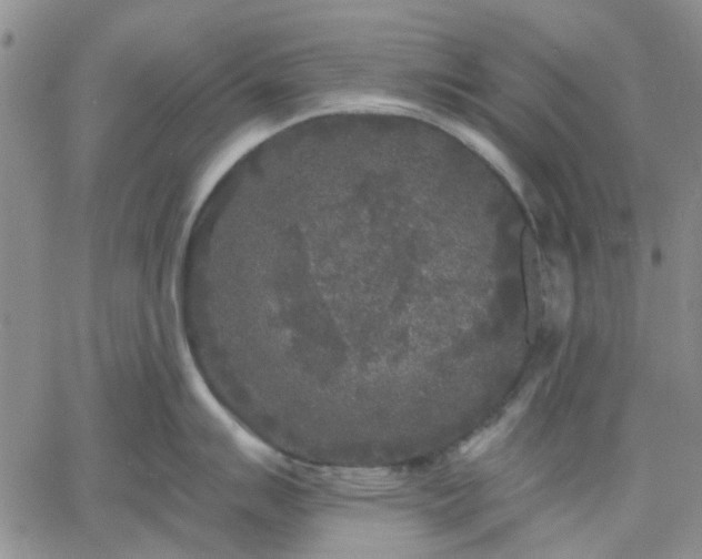 X0000061731007200512091540