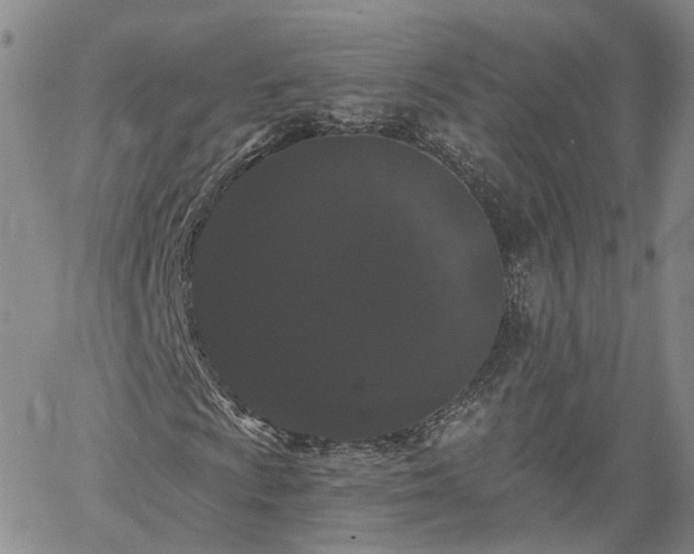 X0000061731009200512091539