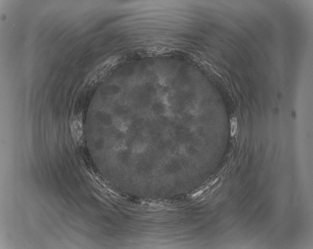 X0000061731011200512091539