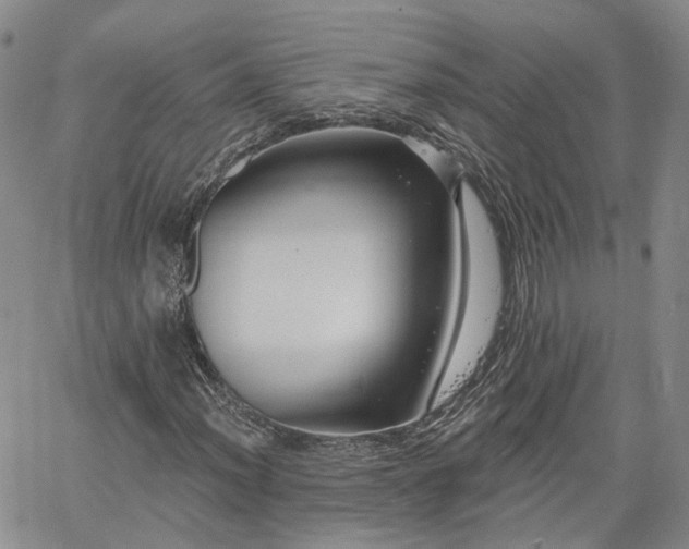 X0000061731012200512091539