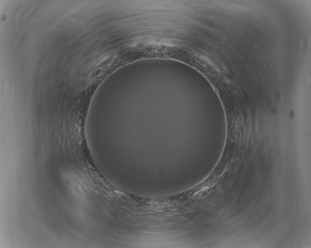 X0000061731013200512091539