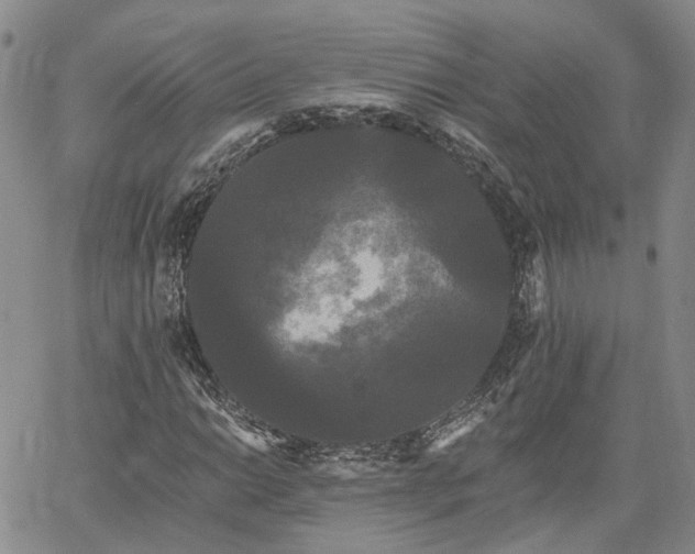 X0000061731014200512091539