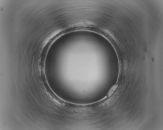 X0000061731018200512091539