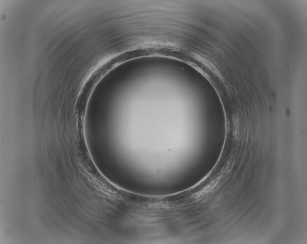 X0000061731021200512091540