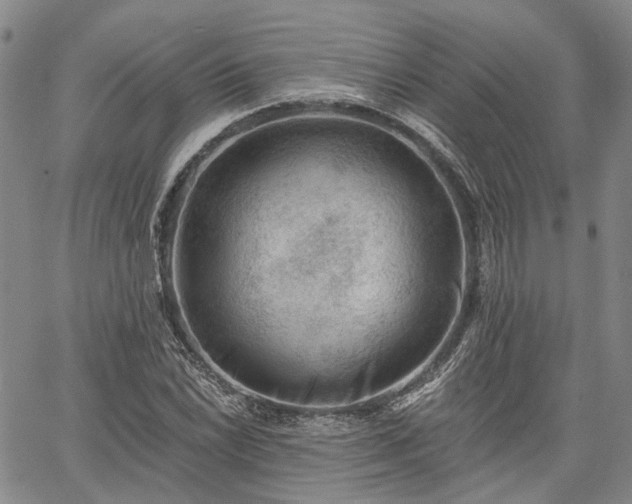 X0000061731022200512091540