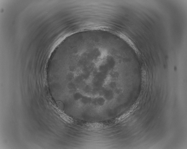 X0000061731023200512091540