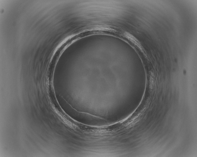 X0000061731024200512091540