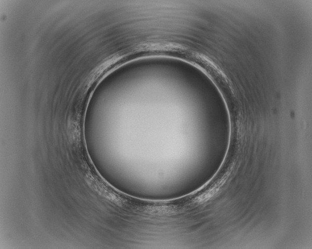 X0000061731025200512091540