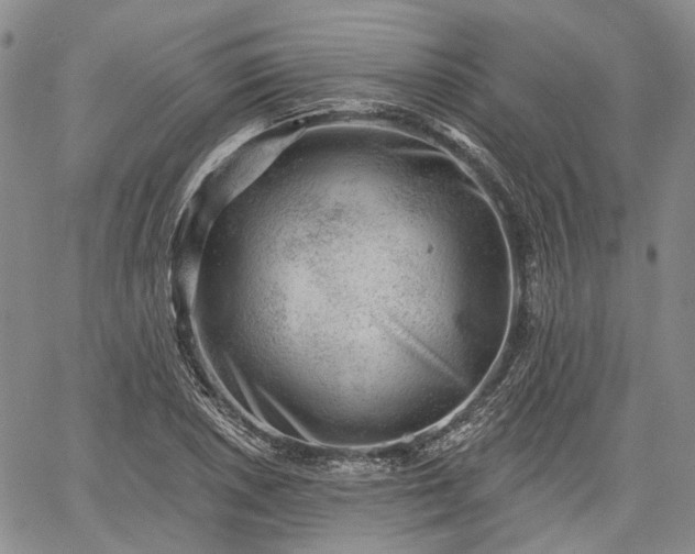 X0000061731026200512091540