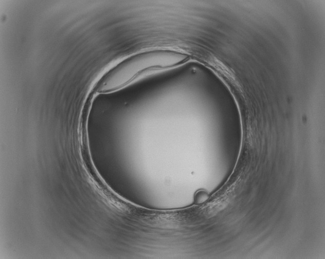 X0000061731028200512091540