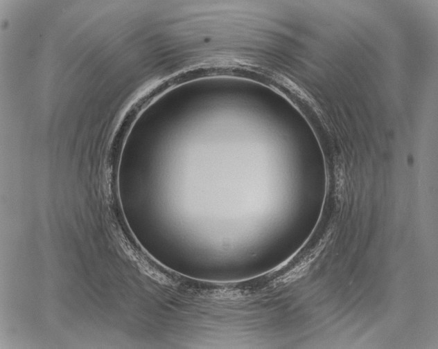 X0000061731029200512091540