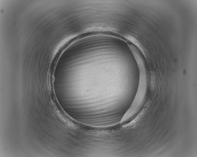 X0000061731030200512091540