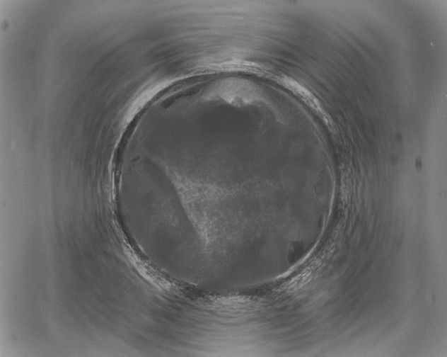 X0000061731031200512091540