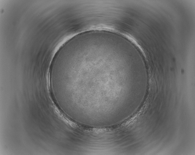 X0000061731032200512091540