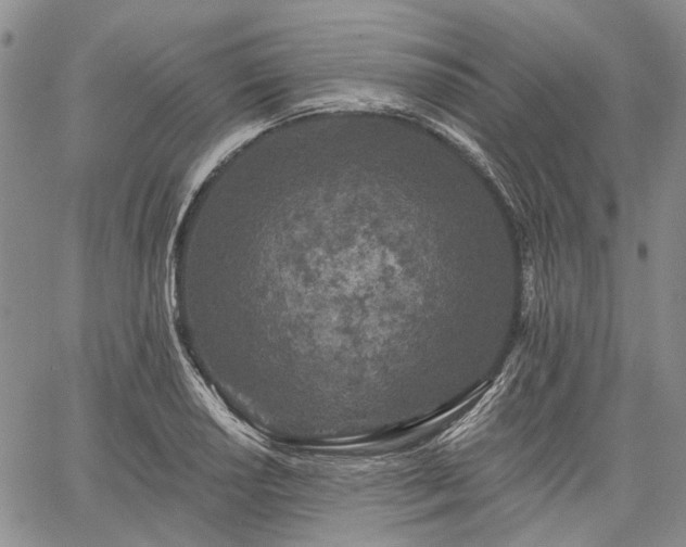 X0000061731034200512091540