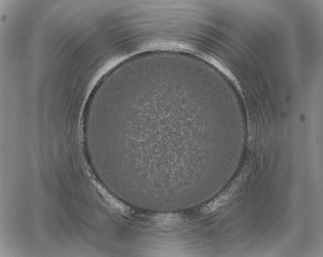 X0000061731037200512091540