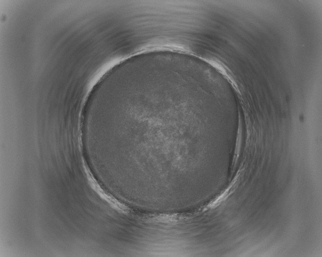 X0000061731038200512091540